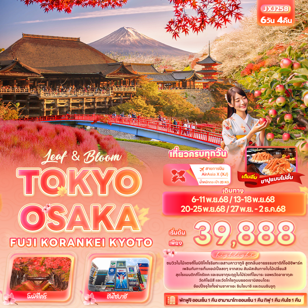 ทัวร์ญี่ปุ่น Leaf & Bloom TOKYO OSAKA FUJI KORANKEI KYOTO 6 วัน 4 คืน